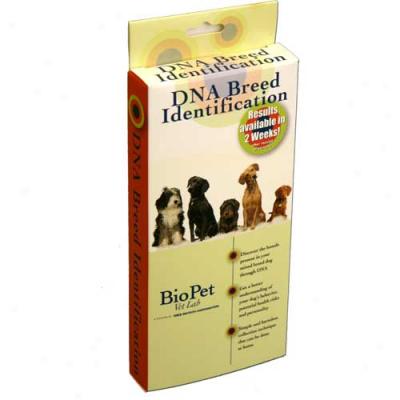 Biovet Dna Breed Identification Kit