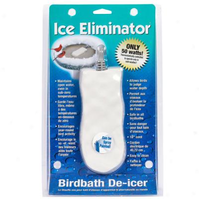 Birdbath Ice Eliminator