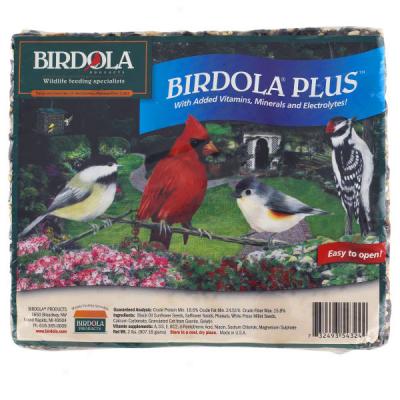 Birdola Plus Cake For Birds