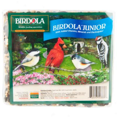 Birdola Plus Junior Bird Seed Cake