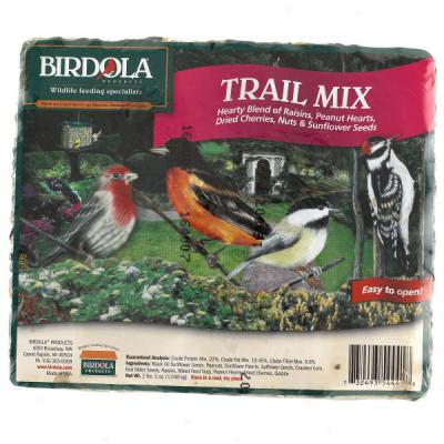 Birdola Trail Mix Cake For Birds