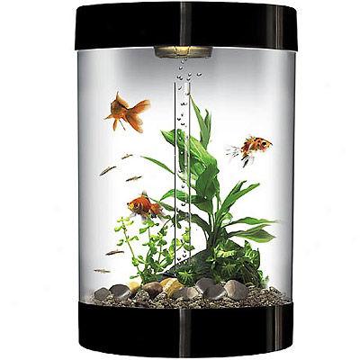 Biube 9-gallon Aquarium With Halogen Light