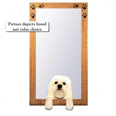 Black And White Havanese Hall Reflector Through  Basswood Pine Frame