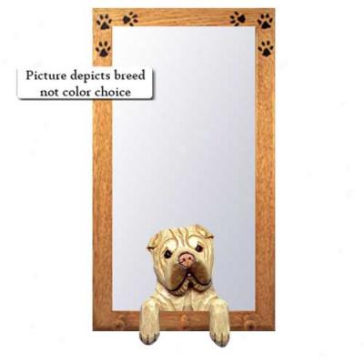 Black Chinese Shar-pei Hall Mirror With Basswood Walnut Frame