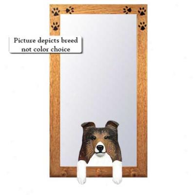 Black Shetland Sheepdog Hall Mirror With Oak Golden Frame
