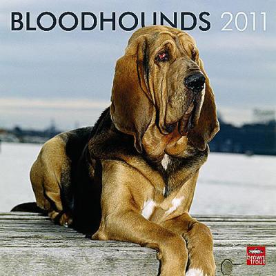 Bloodhound 2011 Calendar
