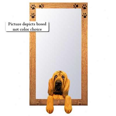 Bloodhound Hall Mirror With Oak Natural Frame