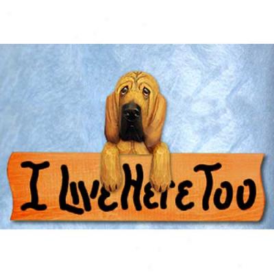 Bloodhound I Live Here Too Maple Finish Sign