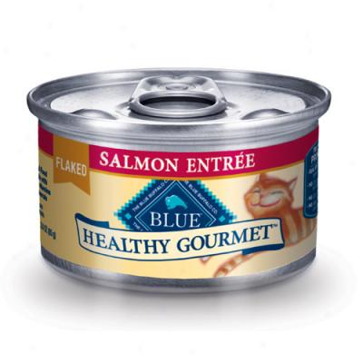 Blue Buffalo Healthy Gourmet Salmon Cat Food 3oz Case Of 24 Cans
