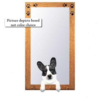 Blue Merle Cardigan Welsh Corgi Hall Mitror With Oak Golden Frame