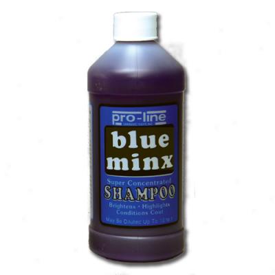 Blue Minx Shampoo (gallon) Concentrate 10:1 - Proline