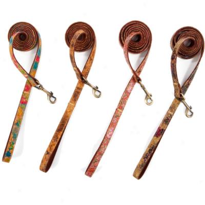 Bmb Pet Eco Friendly Dog Leashes