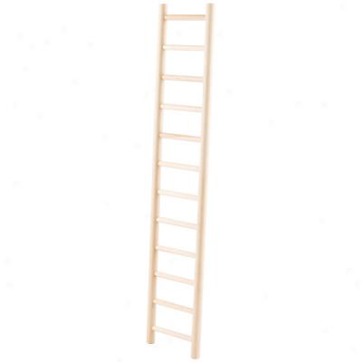 Bob's Wood Parrot Ladder