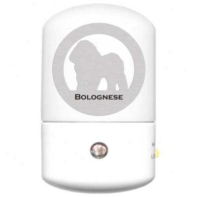 Bolognese Led Night Light