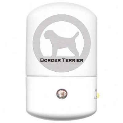 Border Terrier Led Night Light