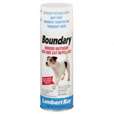 Boundafy Indoor, Outdoor, 14 Oz Aerosol