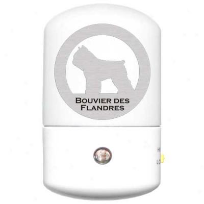 Bouvier Des Flandres Led Night Light