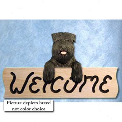 Bouvier Des Flandres Natural Fawn Welcome Signal Oak