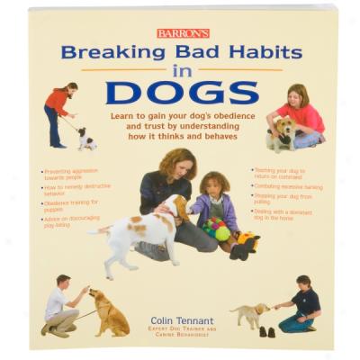 Breaking Bad Habits In Dogs