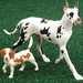 Breyer&ref; Companion Animalstm Popular Dog Gift Set - Great Dane And Beagle