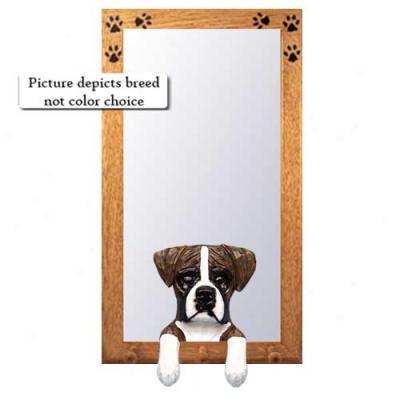 Brindle Natural Boxer Hqll Pattern Upon Oak Golden Frame