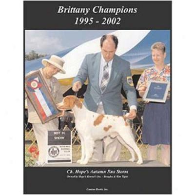 Brittany Champions, 1995-2002