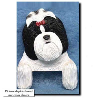 Brown And White Shih Tzu Passage Topper