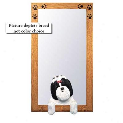 Brown And White Shih Tz8 Hall Mirror With Basswood Pine Frame