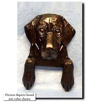 Brown Flat Coated Retriever Door Topper