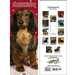 Browntrout® 2006 Slimline Pet Calendars