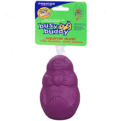 Busy Buddy Squirrel Dude Dog Toys