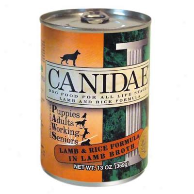 Canidae Lamb And Rice Dog Food 13oz Can