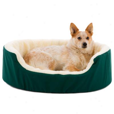 Canine Cushion Orthopedic Fabric And Clip Dog Bed