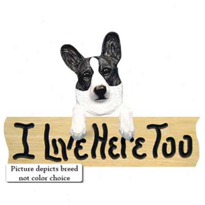 Cardigan Welsh Corgi I Live Here Too Oak Finish Sign Blue Merle