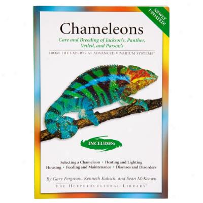 Care & Breeding Of Chameleons