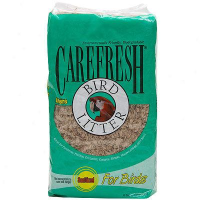 Carefresh Bird Confusion