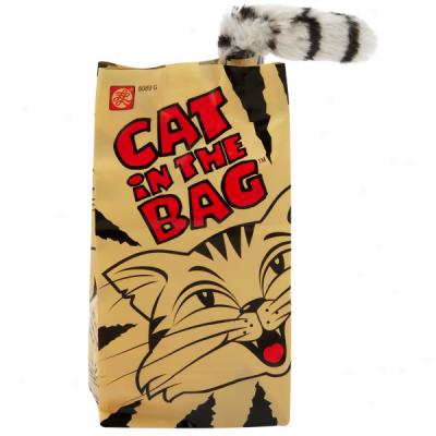 Cat In The Bag Motorized Cat Toy
