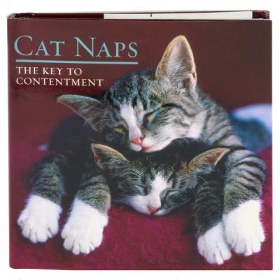 Cat Naps: The Key To Contentment