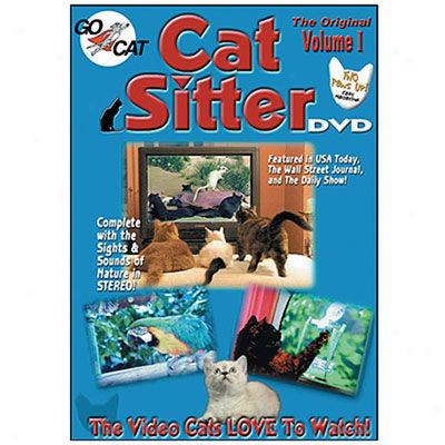 Cat Sitter Dvd - Volume I