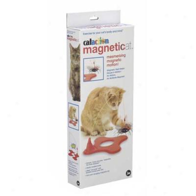 Cataction Magneticat Cat Toy