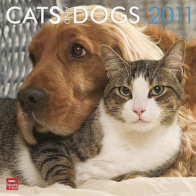 Cats And Dogs 2011 Calendar