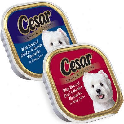 Cesar Braiised Dog Food