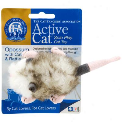 Cfa Opossum Cat Toy