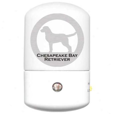 Chesapeake Bay Retriever Led Night Light