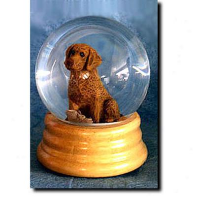 Chesapeake Bay Retriever Musical Snow Globe