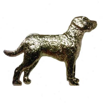 Chesapeake Bay Retriever Pin 24k Gold Plated