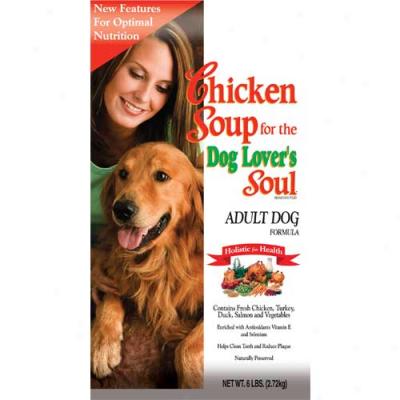 Chicken Soup For The Person of mature age Dog Lovers Soul 35lb Oversized