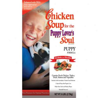 Chicken Soup For The Puppy Lovers Life 35lb Oversized