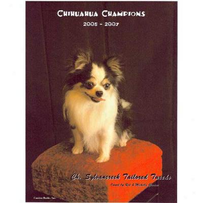 Chihuahua Champions 2005 To 2007