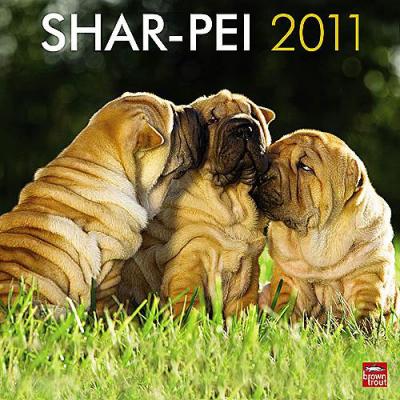 Chinese Shar-pei 2011 Calendar